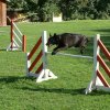 agility 2011-08